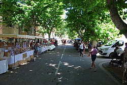 foire_chevaux_2025_21.jpg