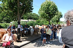 foire_chevaux_2025_22.jpg