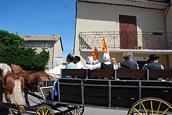 foire_chevaux_2025_33.jpg