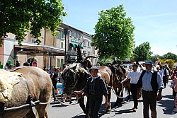 foire_chevaux_2025_48.jpg