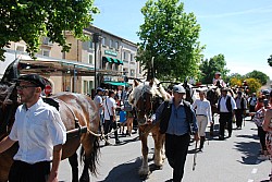 foire_chevaux_2025_49.jpg