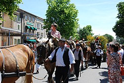 foire_chevaux_2025_50.jpg