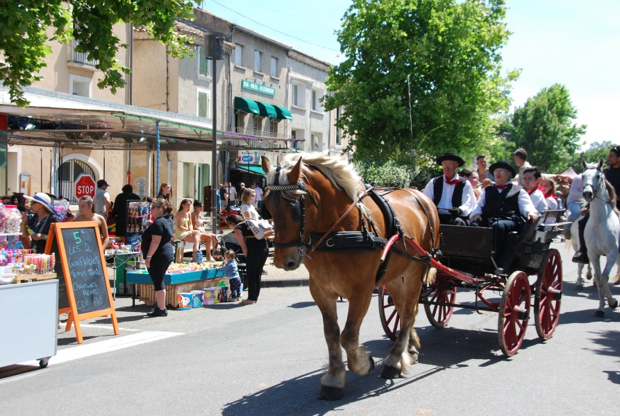 foire_chevaux_2025_56.jpg