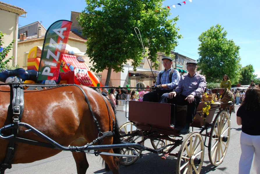 foire_chevaux_2025_63.jpg