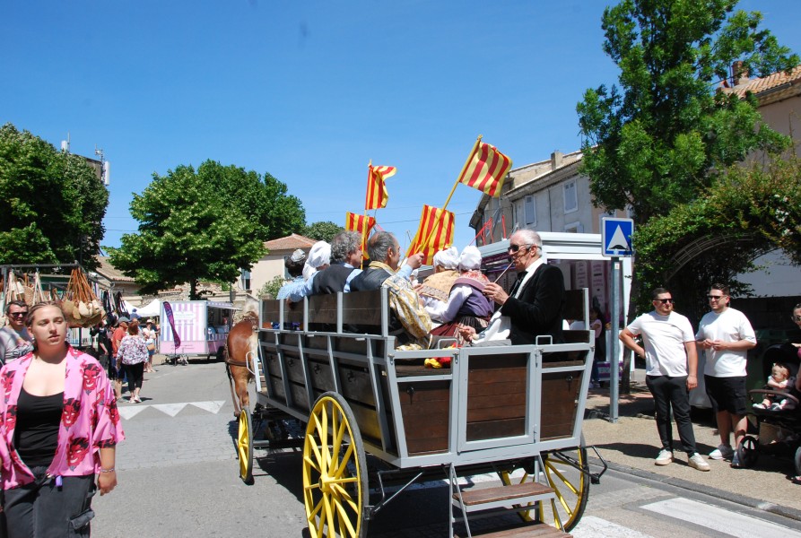 foire_chevaux_2025_79.jpg