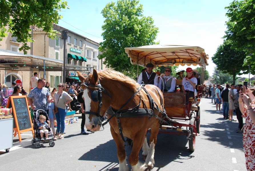 foire_chevaux_2025_80.jpg
