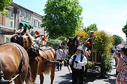 foire_chevaux_2025_51.jpg