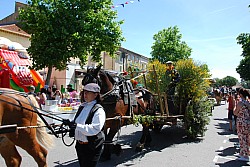 foire_chevaux_2025_52.jpg