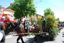 foire_chevaux_2025_53.jpg