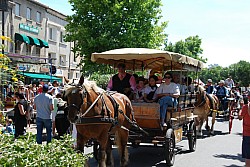 foire_chevaux_2025_54.jpg