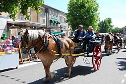 foire_chevaux_2025_55.jpg