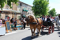 foire_chevaux_2025_56.jpg