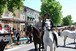 foire_chevaux_2025_57.jpg