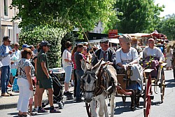 foire_chevaux_2025_59.jpg