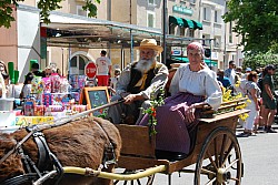 foire_chevaux_2025_61.jpg