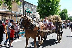 foire_chevaux_2025_62.jpg