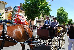 foire_chevaux_2025_63.jpg