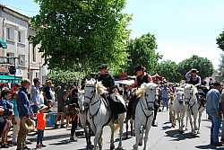 foire_chevaux_2025_68.jpg