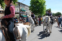 foire_chevaux_2025_69.jpg