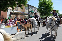 foire_chevaux_2025_70.jpg
