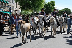 foire_chevaux_2025_72.jpg