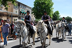 foire_chevaux_2025_73.jpg