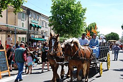 foire_chevaux_2025_77.jpg