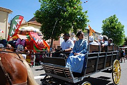 foire_chevaux_2025_78.jpg
