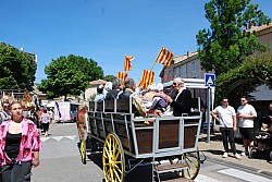 foire_chevaux_2025_79.jpg