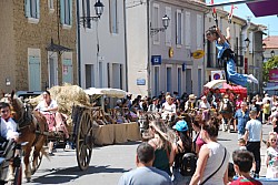 foire_chevaux_2025_97.jpg