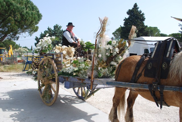 foire chevaux bedarrides 2015_.jpg