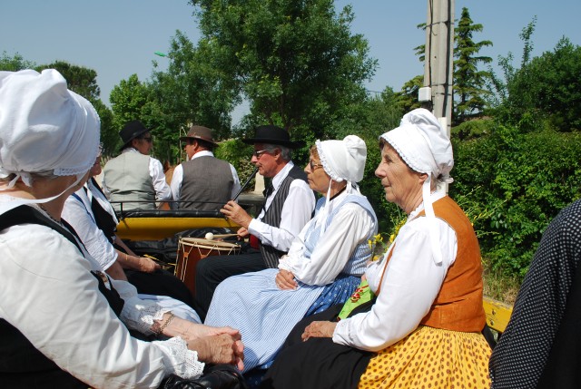 foire chevaux bedarrides 2015__06.jpg