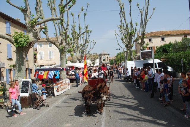 foire chevaux bedarrides 2015__14.jpg