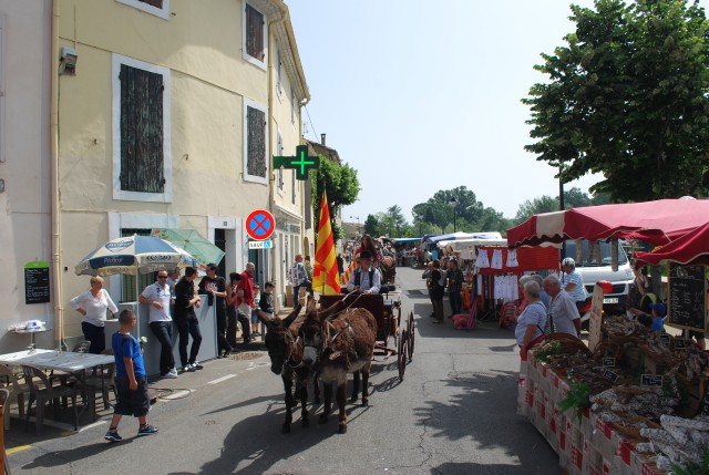 foire chevaux bedarrides 2015__19.jpg