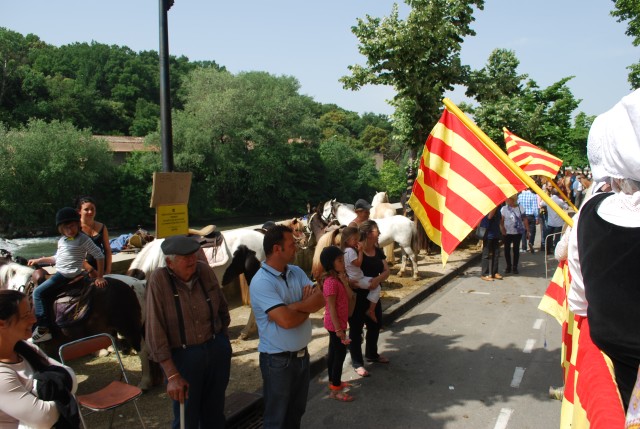 foire chevaux bedarrides 2015__21.jpg