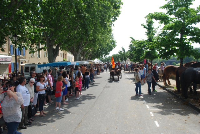 foire chevaux bedarrides 2015__28.jpg