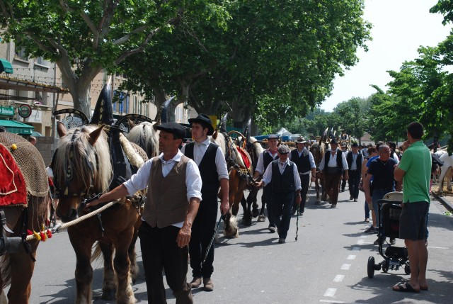 foire chevaux bedarrides 2015__39.jpg