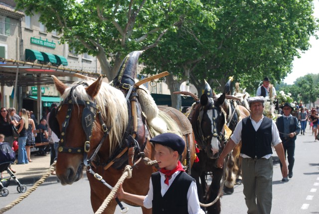 foire chevaux bedarrides 2015__41.jpg