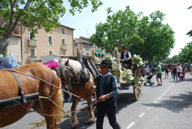 foire chevaux bedarrides 2015__42.jpg