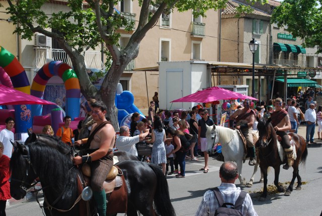 foire chevaux bedarrides 2015__46.jpg