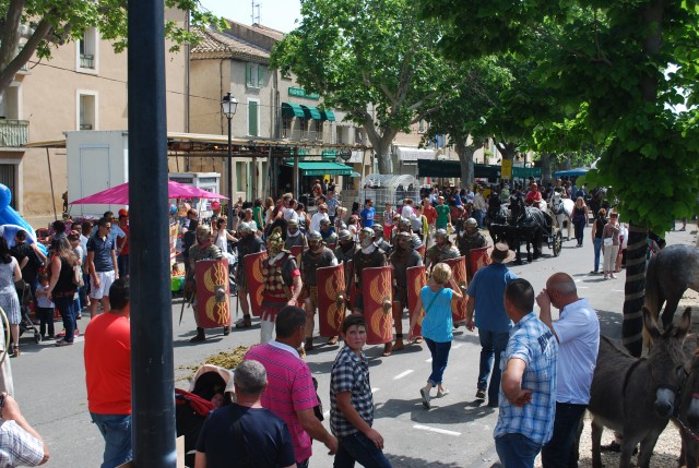 foire chevaux bedarrides 2015__48.jpg