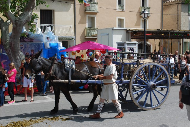 foire chevaux bedarrides 2015__50.jpg