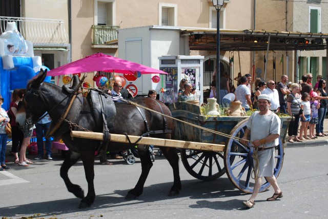 foire chevaux bedarrides 2015__51.jpg