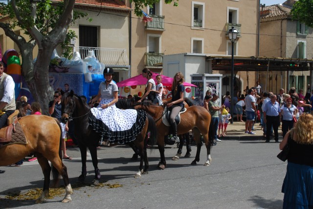 foire chevaux bedarrides 2015__52.jpg