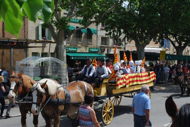 foire chevaux bedarrides 2015__53.jpg