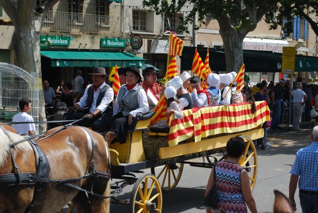 foire chevaux bedarrides 2015__54.jpg