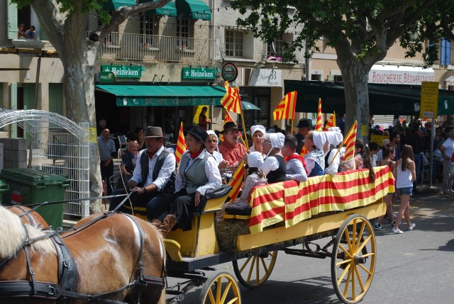 foire chevaux bedarrides 2015__55.jpg