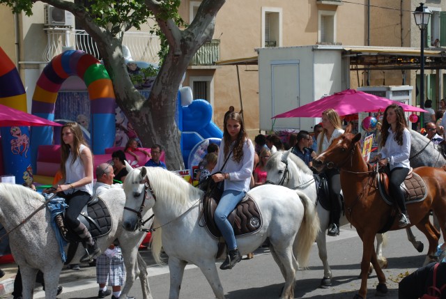 foire chevaux bedarrides 2015__62.jpg