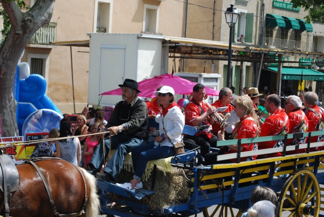 foire chevaux bedarrides 2015__63.jpg