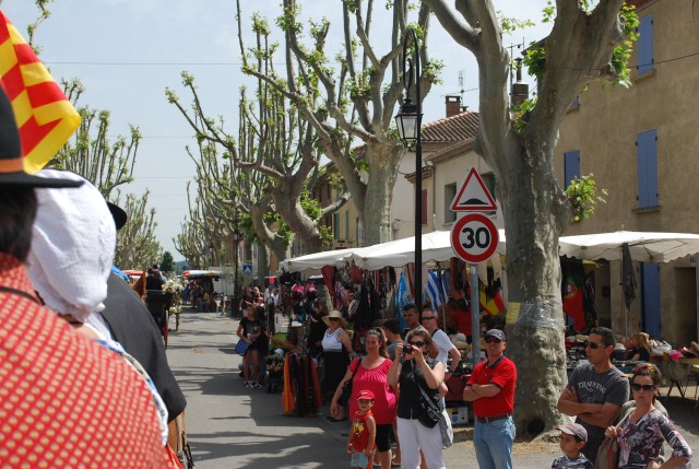 foire chevaux bedarrides 2015__99.jpg